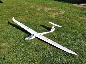Condor Condor
